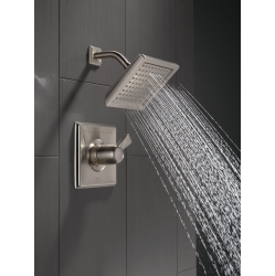 DELTA FAUCET T14251-Ss Dryden Monitor 14 Series Shower Trim, Stainless