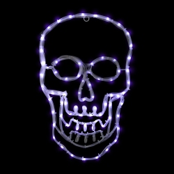 NORTHLIGHT Led Lighted 4 Function Skull Halloween Window Decoration - 18