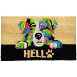 NORTHLIGHT Ivory And "hello" Multicolor Dog Outdoor Coir Doormat 18" X 30" In Black