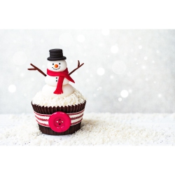 MAISON CONCEPTS Christmas Cutting Board Snowman Cupcake - Set Of 2