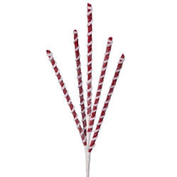 REGENCY 24" Frosted Peppermint Stick X5 Spray