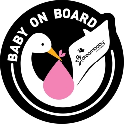 DREAMBABY Baby On Board Adhesive Stork, Pink, 2 Count