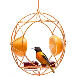 MEKKAPRO Sun Baltimore Oriole Feeder for Outdoors, Jelly And Metal Bird Feeder, Unique Sun Design And Bright Color, Open Top Hook, Uv-Resistant