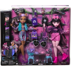 MONSTER HIGH Two Rare Hard to Find Dolls With Two Pets, Draculaura And Clawdeen Wolf