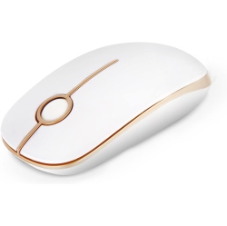 DOLAER Wireless Mouse, V 2.4G Slim Portable Computer Mice With Nano Receiver for Notebook, PC, Laptop, Computer-White And In Gold