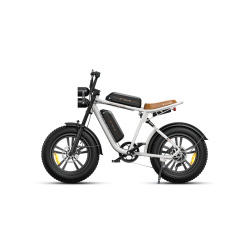 ENGWE M20: 1000W(Peak) 47 Miles+47 Miles Dual Suspension Long Range E-Bike