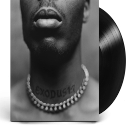 DEF JAM RECORDINGS Dmx - Exodus [Explicit Content] - (Parental Advisory Explicit Lyrics) - [Vinyl]