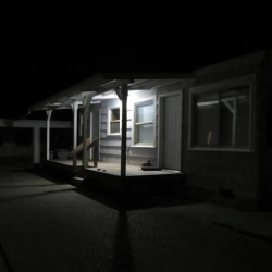 MAMA BIRD RECORDING Damien Jurado - Rsd 22 - Birds Tricked Into The Trees - Vinyl