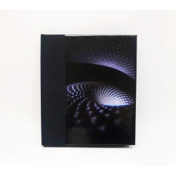 RCA US Tool Fear Inoculum CD - Expanded Book Edition With Exclusive 3D Lenticular Cards And Immersive Visual Experience