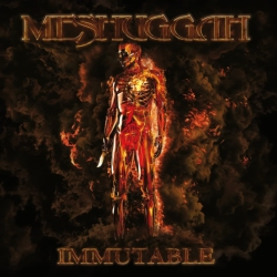 ATOMIC FIRE Meshuggah - Immutable - [Vinyl]