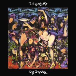 UNIVERSAL MUSIC CANA The Tragically Hip - Fully Completely (30Th Anniversary) - (Oversize Item Split, Deluxe Edition, \w Blu-Ray, Boxed Set