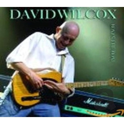 STONY PLAIN David Wilcox - Boy In The Boat - [CD]