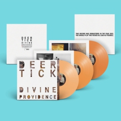 PARTISAN RECORDS Deer Tick - Divine Providence - (Deluxe Edition, Booklet, Anniversary Edition) - [Vinyl]
