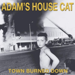 ATO RECORDS / FONTAN Adam's House Cat - Town Burned Down - (Colored Vinyl, Yellow, Gatefold Lp Jacket) - [Vinyl]