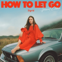 ISLAND RECORDS Sigrid - How to Let Go: Special Edition - Limited Colored Vinyl [Import] - (Limited Edition, Colored Vinyl, United Kingdom - Import)