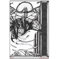 MOMENT OF COLLAPSE R Cloud Rat - Clipped Beaks / Silk Panic - [CD]