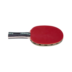 FRANKLIN SPORTS Table Tennis Paddle Procore