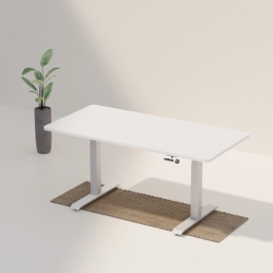 WENHOME Dual Motor Standing Desk, Rise Desk, 70.8”X31.5” (180 80Cm) Large Desktop Included, Anti-Collision- White, 5-Year Warranty,