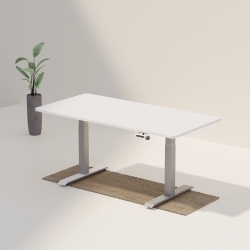 WENHOME Dual Motor Standing Desk, Rise Desk, 70.8”X31.5” (180 80Cm) Large Desktop Included, Anti-Collision- Silver, 5-Year Warranty,