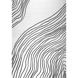 RUG BRANCH Minimalist Abstract Zebra Print Black Indoor Soft Area Rug In White