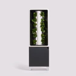 JUST VERTICAL - The Automated Eve Indoor Smart Garden