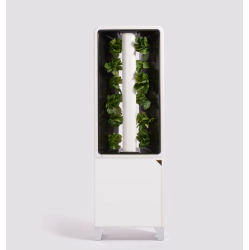 JUST VERTICAL - The Automated Eve Indoor Smart Garden