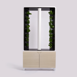 JUST VERTICAL - The Automated Aeva Indoor Smart Garden