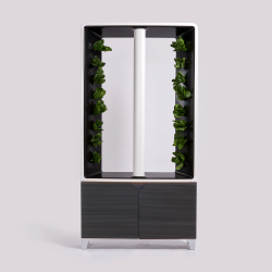 JUST VERTICAL - The Automated Aeva Indoor Smart Garden