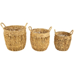 NORTHLIGHT Set Of 3 Textured Woven Water Hyacinth Rustic Storage Baskets With Handles 15.75