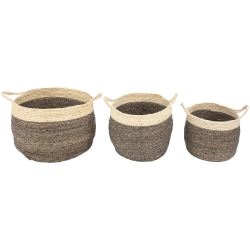 NORTHLIGHT Set Of 3 Beige And Woven Seagrass Storage Baskets With Built-In Handles 13.25" In Brown