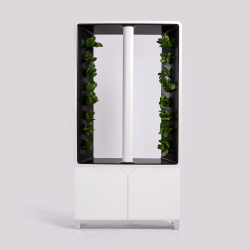 JUST VERTICAL - The Automated Aeva Indoor Smart Garden