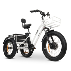 GOBIKE Forte 750W Ebike | Electric Tricycle (Up to 80Km Battery Range | 32Km/h Top Speed) - In White