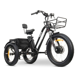 GOBIKE Forte-Max Ebike | 750W Electric Tricycle (Up to 115Km Battery Range | 32Km/h Top Speed) - In Black