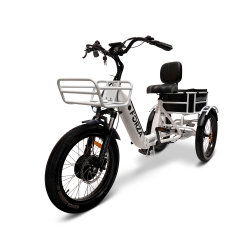 GOBIKE Forza Ebike | Compact 500W Foldable Electric Tricycle (Up to 60Km Battery Range | 32Km/h Top Speed) - In White