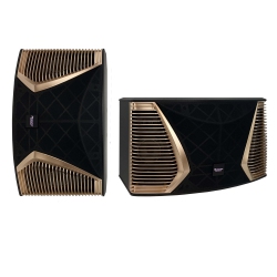 RESONIC Ks-800 G2 800W 10" 3-Way 5-Drive Full Range Karaoke Speakers (Pair) / Made In Taiwan