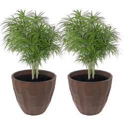 SUNNYDAZE DECOR Sunnydaze Pebbled Polyresin Outdoor Planter - - Set Of 2 In Dark Brown