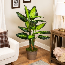 NORTHLIGHT Wide Leaf Artificial Dieffenbachia Potted Plant - 51