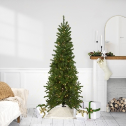 NORTHLIGHT Pre-Lit Canadian Pine Artificial Pencil Christmas Tree - 6.5' - Clear Lights