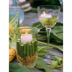 NORTHLIGHT Led Lighted Spring Bamboo Candle In Vase Canvas Wall Art 15.75" X 11.75
