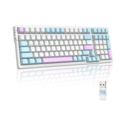 NIERBO Wireless Mechanical Keyboard, Dual Mode 2.4G/bt5.0 2-In-1 Receiver, 100 Keys Hot Swappable Switches Gaming Keyboard \w Number Pad for PC