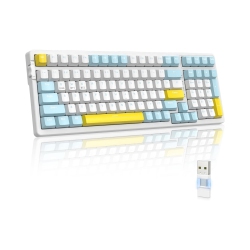 NIERBO Wireless Mechanical Keyboard, Dual Mode 2.4G/bt5.0 2-In-1 Receiver, 100 Keys Hot Swappable Switches Gaming Keyboard \w Number Pad for PC