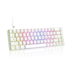 NIERBO Wired 60% Mechanical Gaming Keyboard, RGB Lights Compact 68 Key Mini Keyboard \w Type C Charger And Switch, for Mac Windows PC Ps4 Gamer