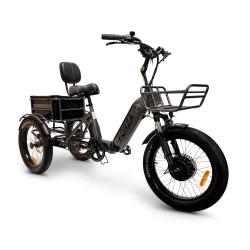 GOBIKE Forza Ebike | Compact Dual Battery 500W Foldable Electric Tricycle (Up to 180Km Battery Range | 32Km/h Top Speed) - Space In Gray