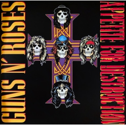 UNIVERSAL RECORDS Appetite for Destruction (Limited Edition Foil Slipcase) - Guns N' Roses [2Lp (180 Gram)]