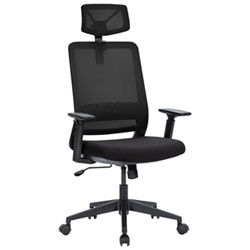 Naz Expert Full-Back Mesh Office Chair with Headrest - Black