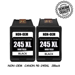 BESTONER [High Yield] 2 Remanufactured Ink Cartridge Replacement for Canon 245 246 Pg-245Xl Cl-246Xl - Canon Pixma Ts3120 Mg2520 Mx492 Tr4520 Ts202