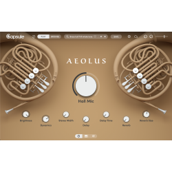 CAPSULE AUDIO Aeolus Software - Digital Download