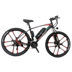 SWAR-E Electric Bike 27.5"(350W Motor, 36V 13Ah Lithium Battery, Mag Wheel, 32 Km/h Speed), Red-Black