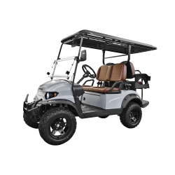 PHANTOM GOGO Voyage 2 Person Electric Golf Cart 48V5Kw