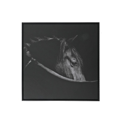 MAISON CONCEPTS Framed Canvas Wall Art Horse Head